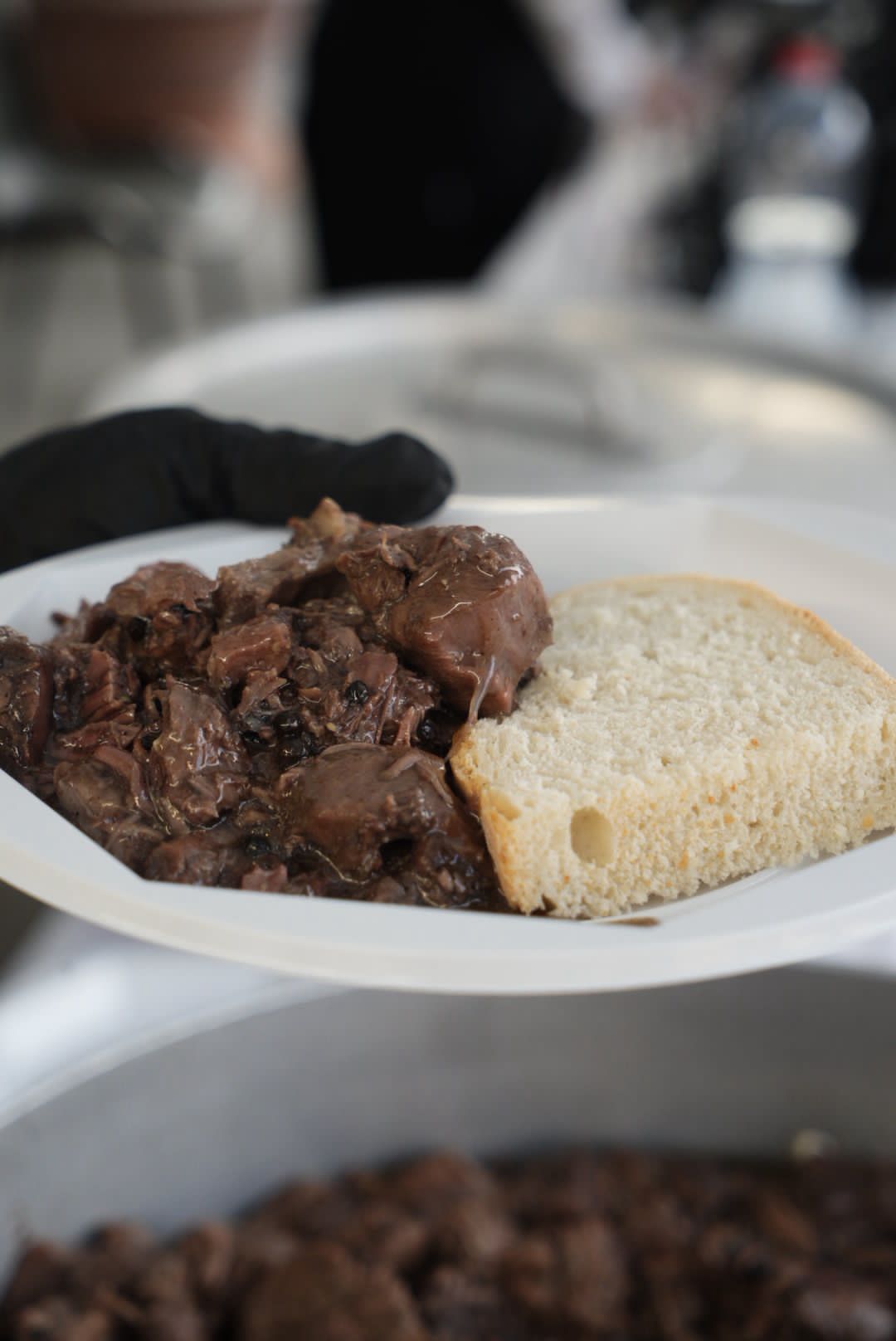 Calici e Peposo_5 Luglio (2)