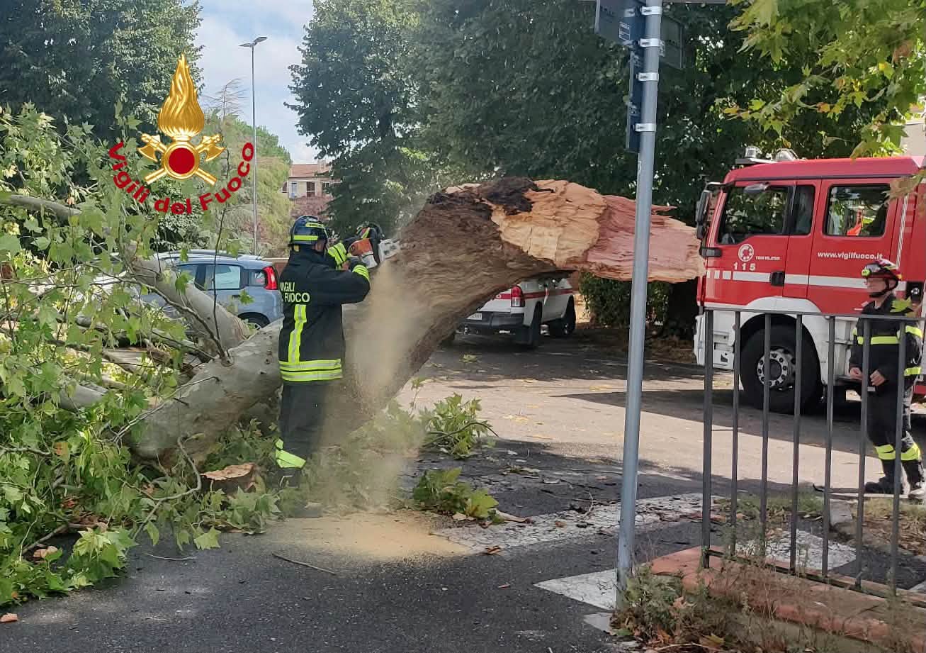 meteo